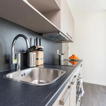 Newly Build Loft Center 20b * Delft