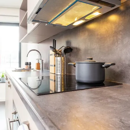 Newly Build Loft Center 20b Apartment Delft